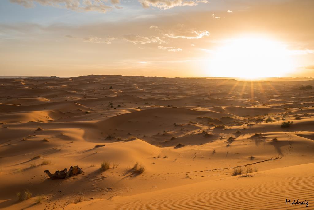 Desert Luxury Camp Morocco Hotell Merzouga Eksteriør bilde